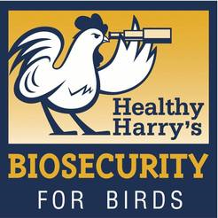 allbird healthcare discount