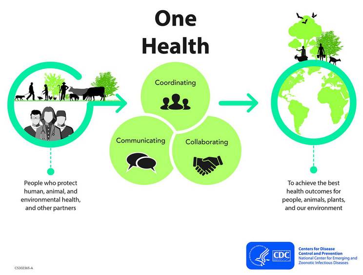 What is One Health? - One Health Commission